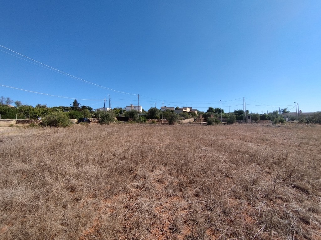 Giano Group Immobiliare